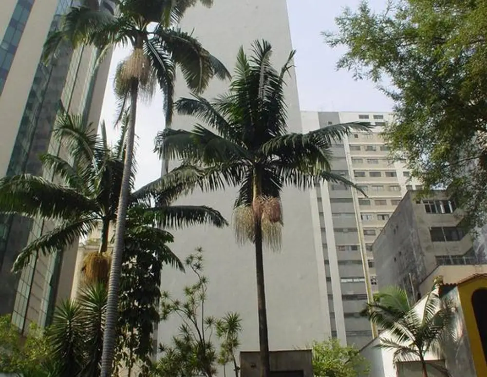 Edificio Palmeiras Imperiais