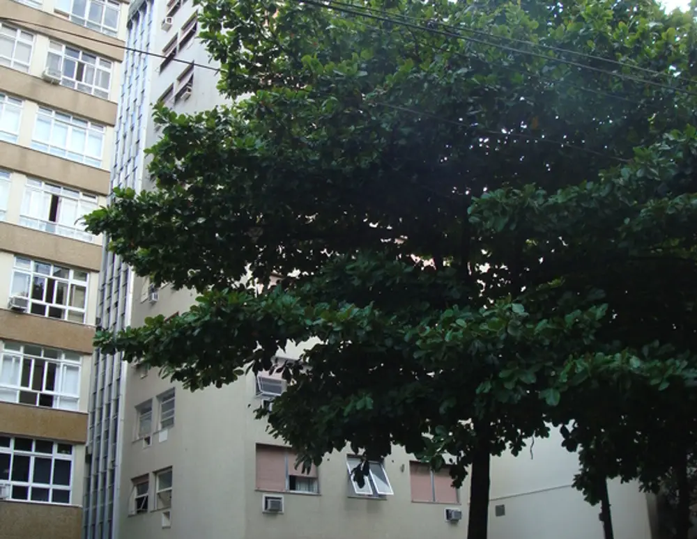Edificio Chateau de Paris