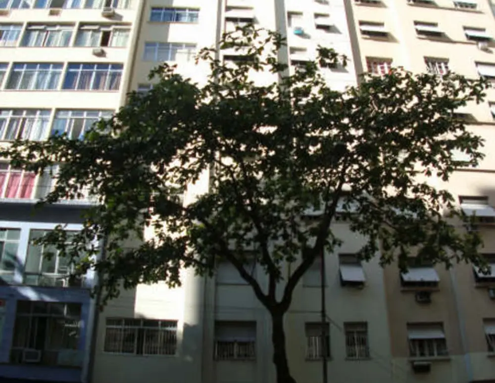 Edificio Lyzia