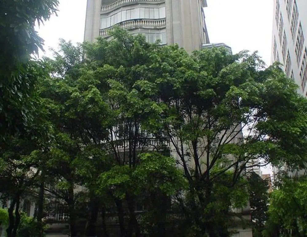 Edificio Angelica — foto 2