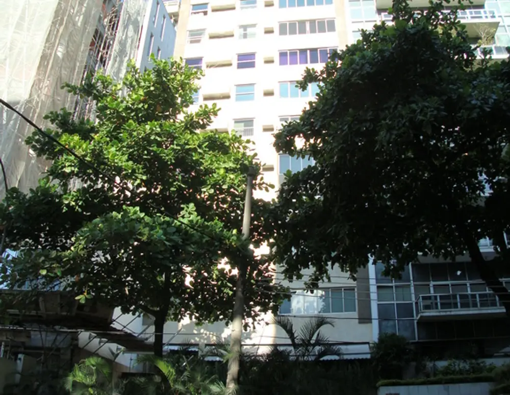 Edificio Solar Afranio de Melo Franco