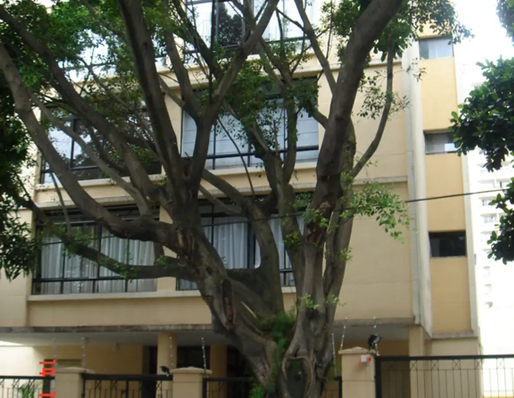 Edificio Leonor Pinto Thomaz