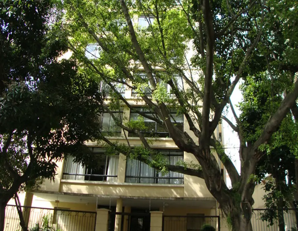 Edificio Leonor Pinto Thomaz — foto 2