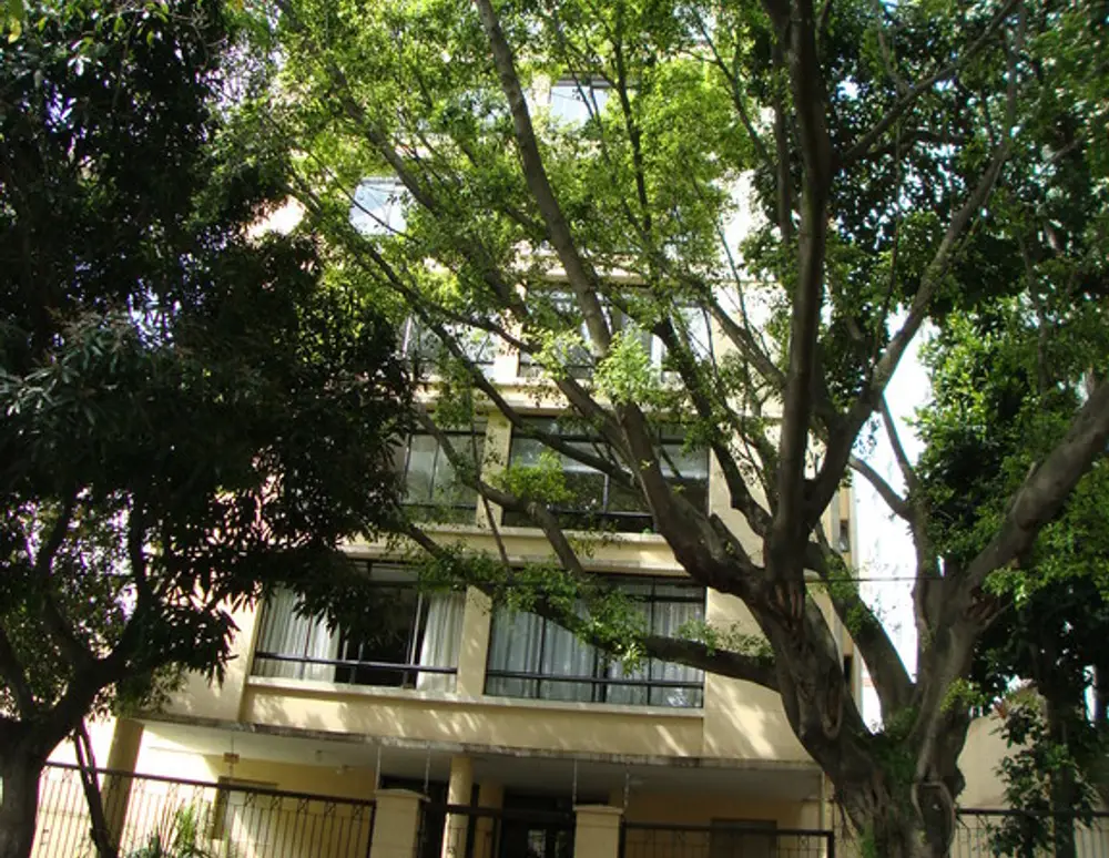 Edificio Leonor Pinto Thomaz — foto 3