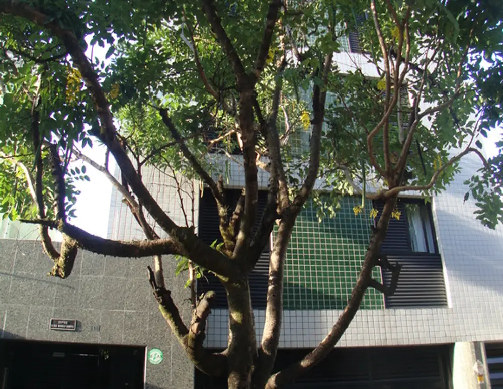Edificio Silvinha