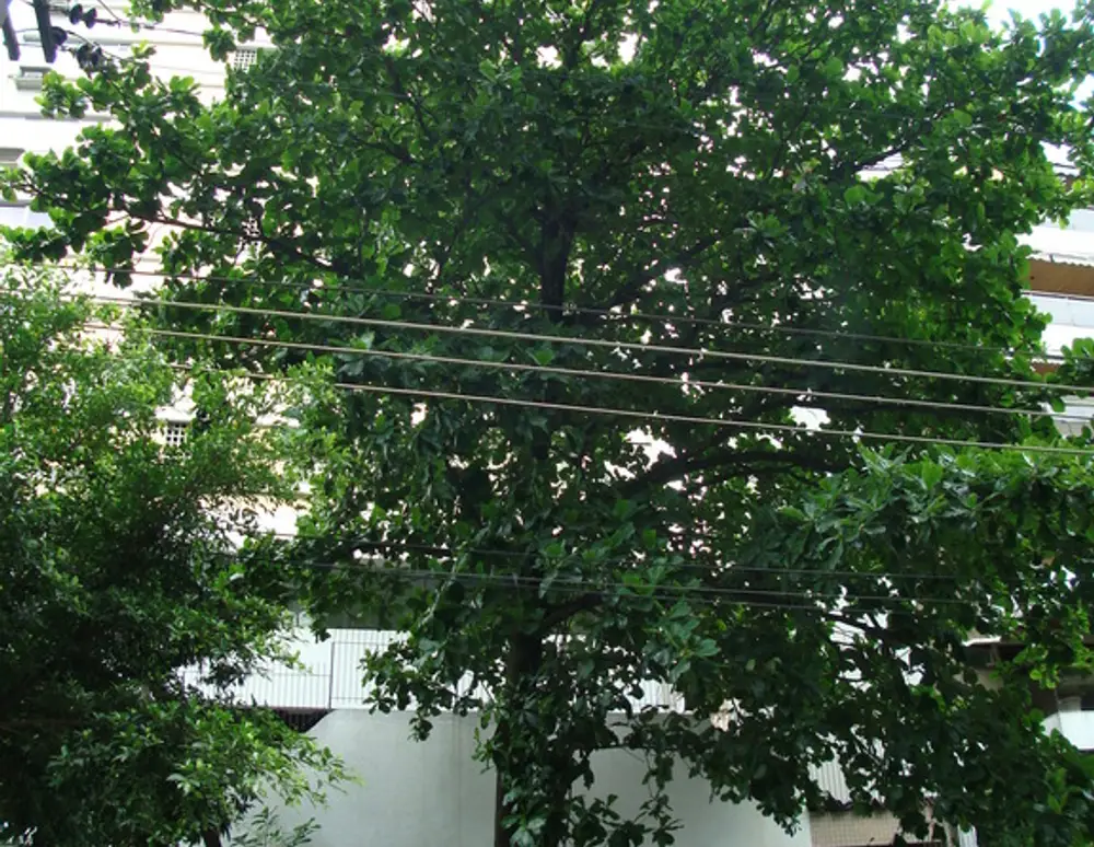 Edificio Houdini — foto 2