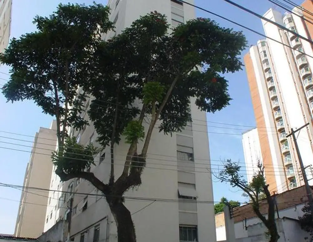 Edificio Maria Dulcina — foto 2