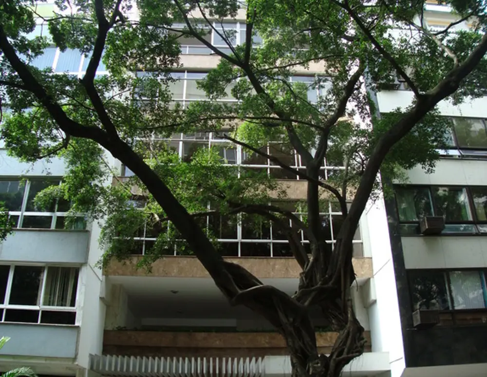 Edificio Mak