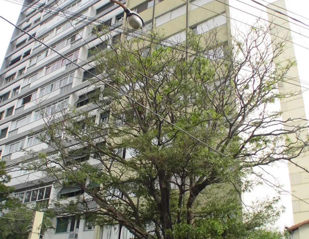 Edificio Aracari