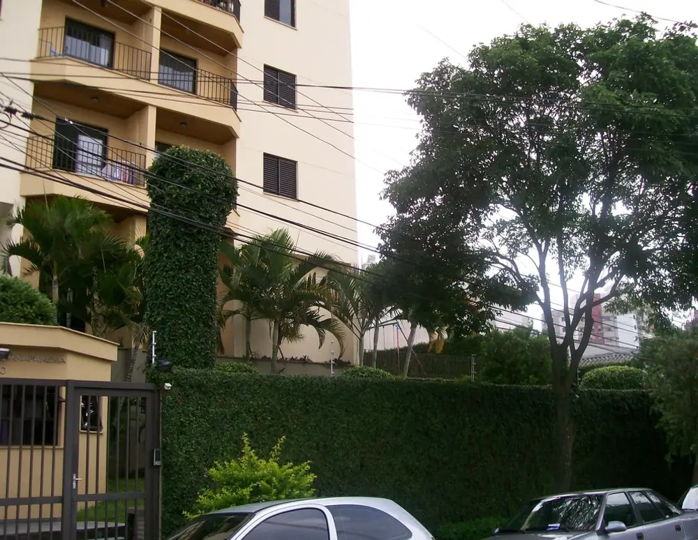 Visconde de Cuminapanema — foto 3