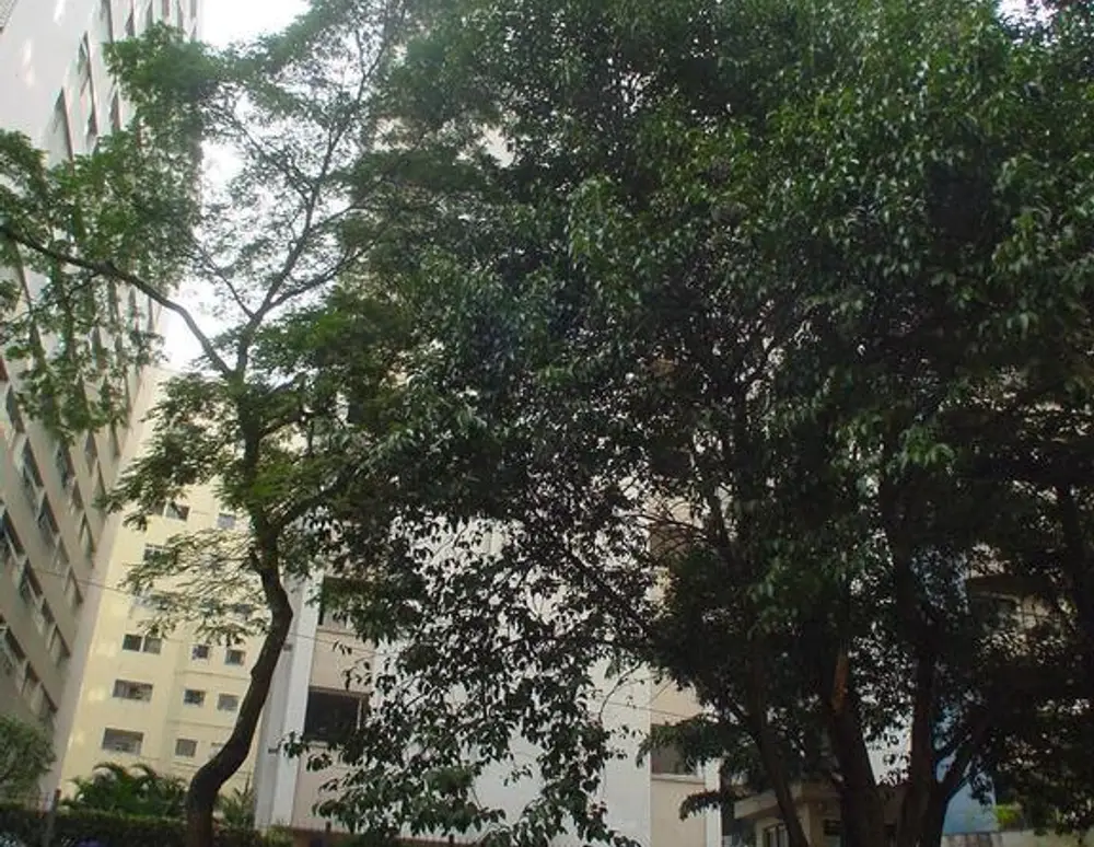 Edificio Alfred — foto 2