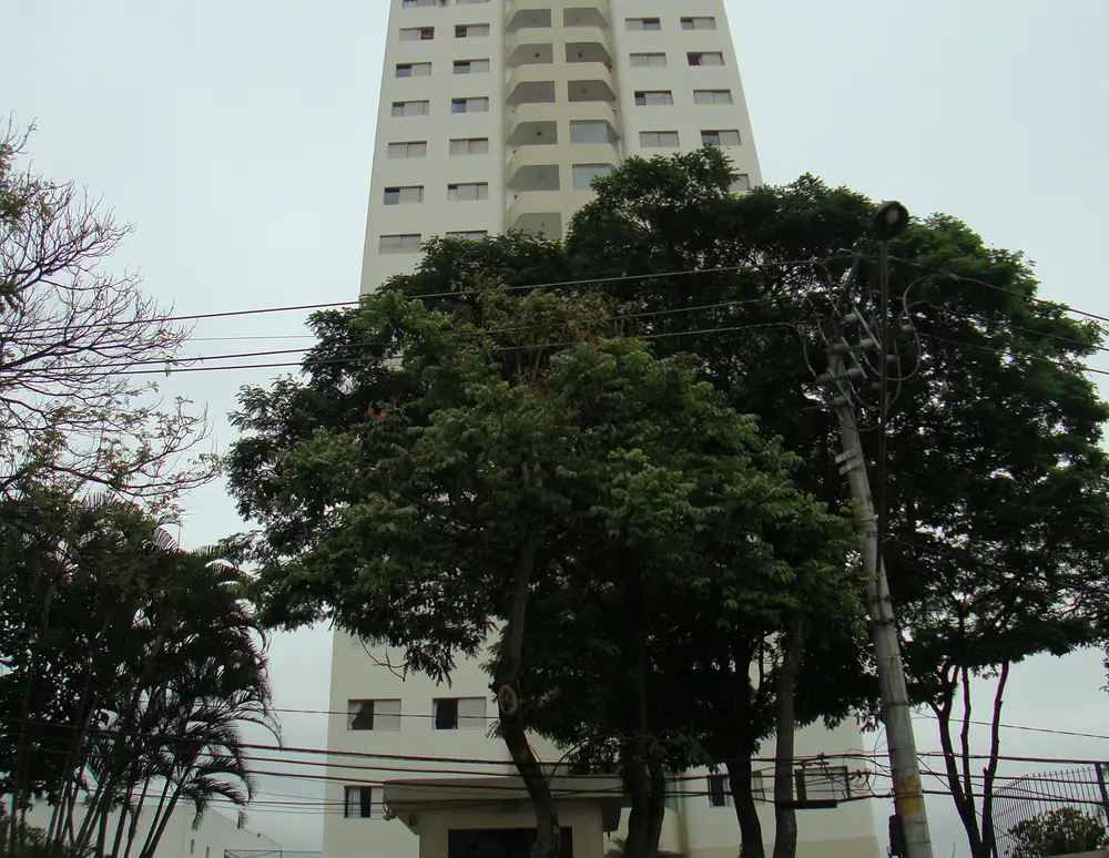 Carina — foto 2