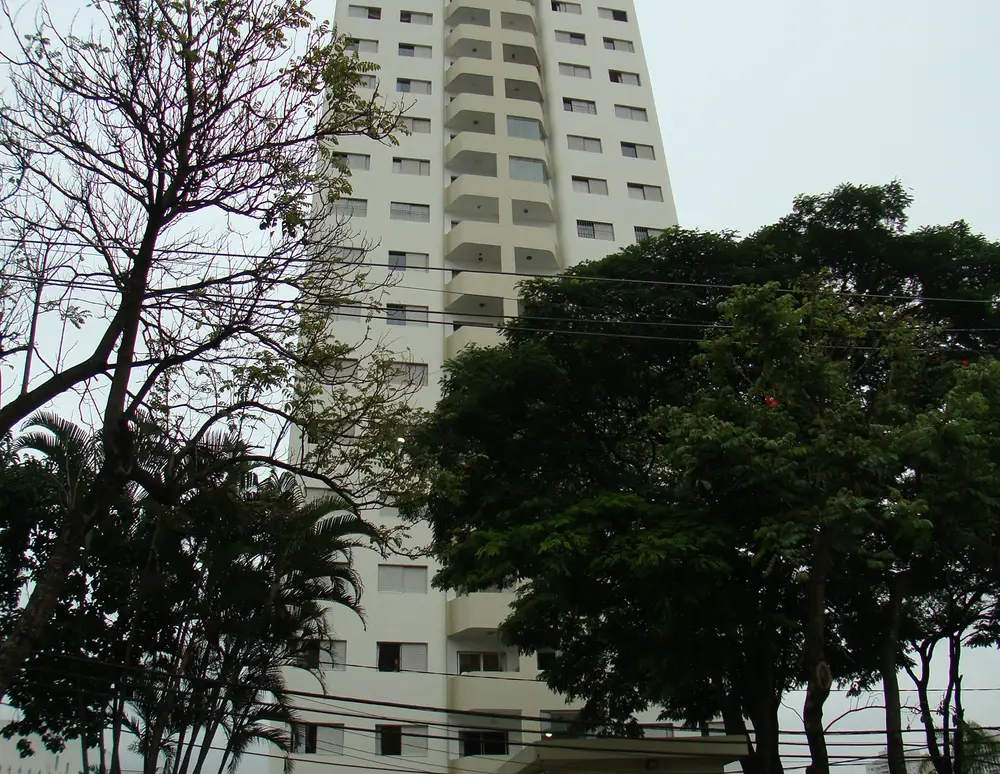 Carina — foto 4