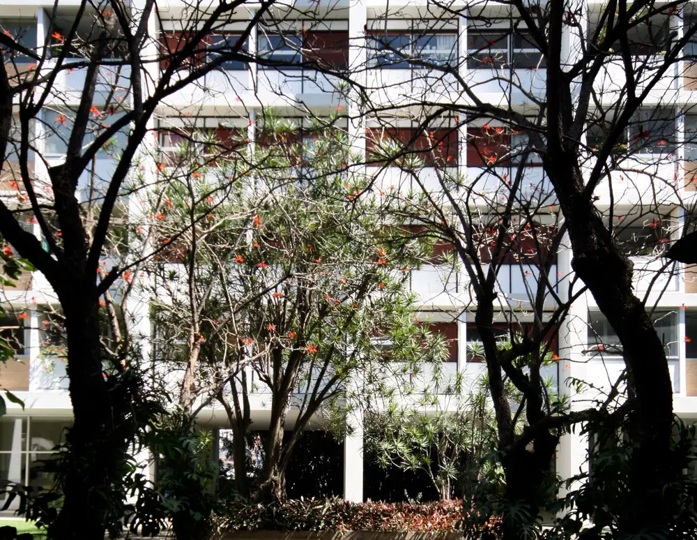 João Ramalho — foto 2