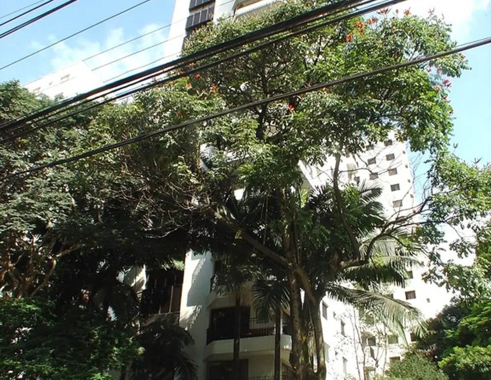 Edificio Green Field — foto 3