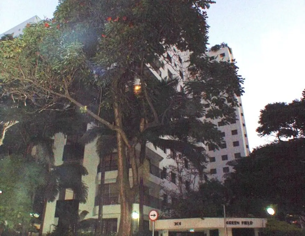 Edificio Green Field — foto 5