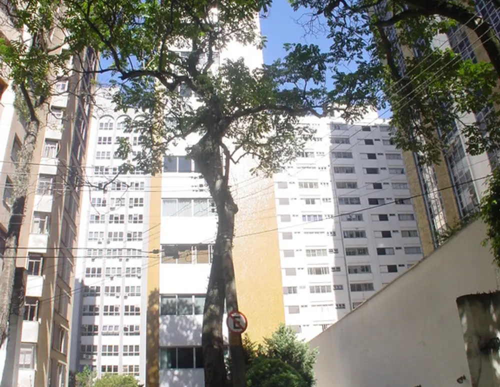 Edificio Henrique Viii