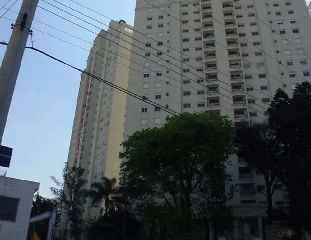 Privilege — foto 5