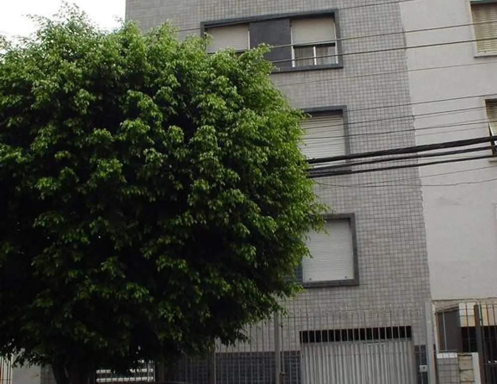 Tamoio — foto 2