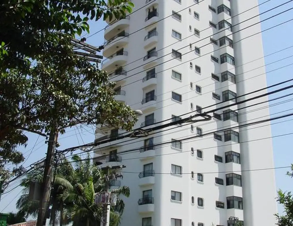 Palomino — foto 2