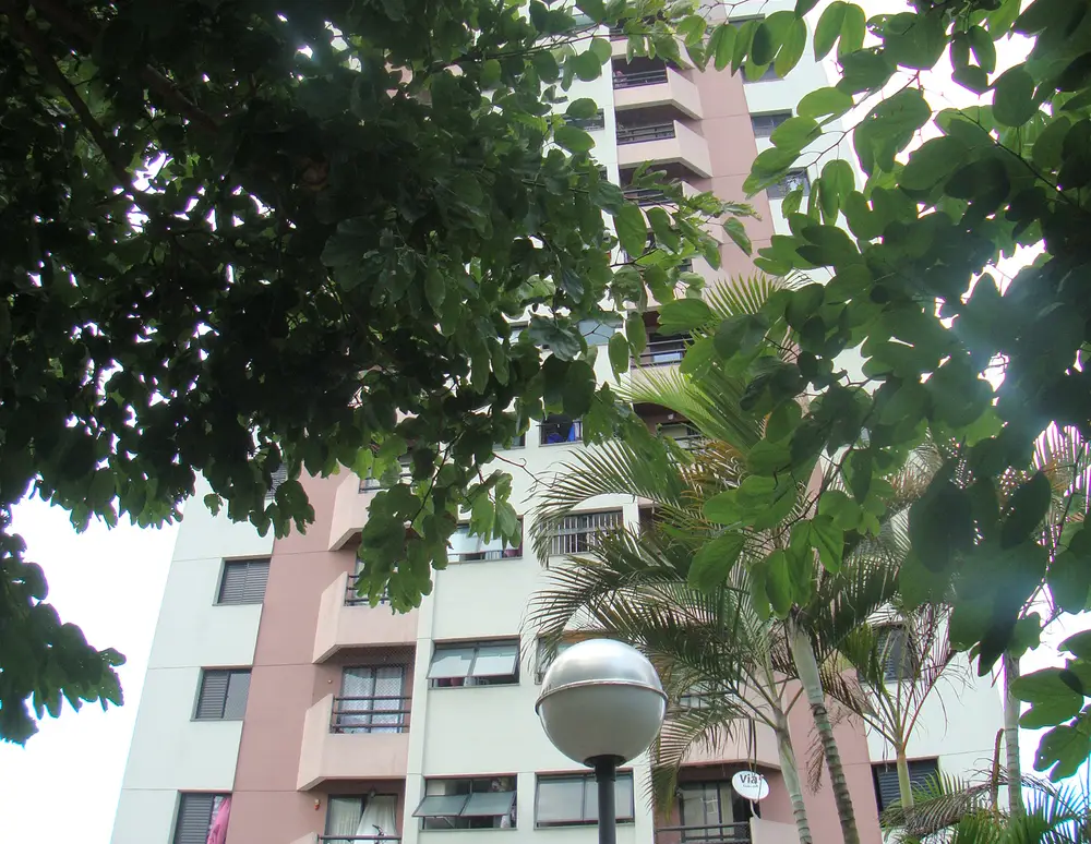 Edificio Ipe — foto 2
