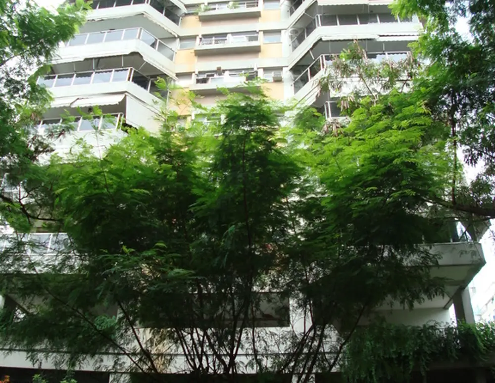 Edificio Camino Real
