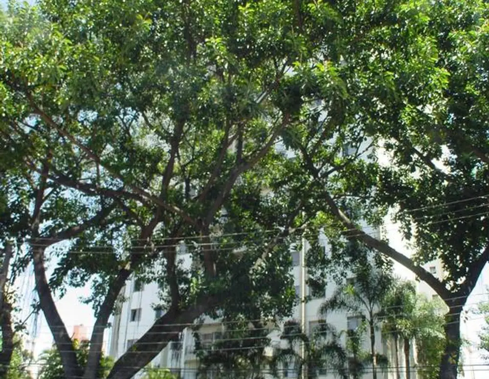 Praca de Pompeia