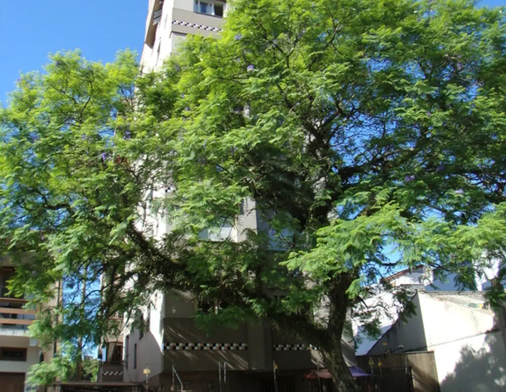 Edificio Nova Prata
