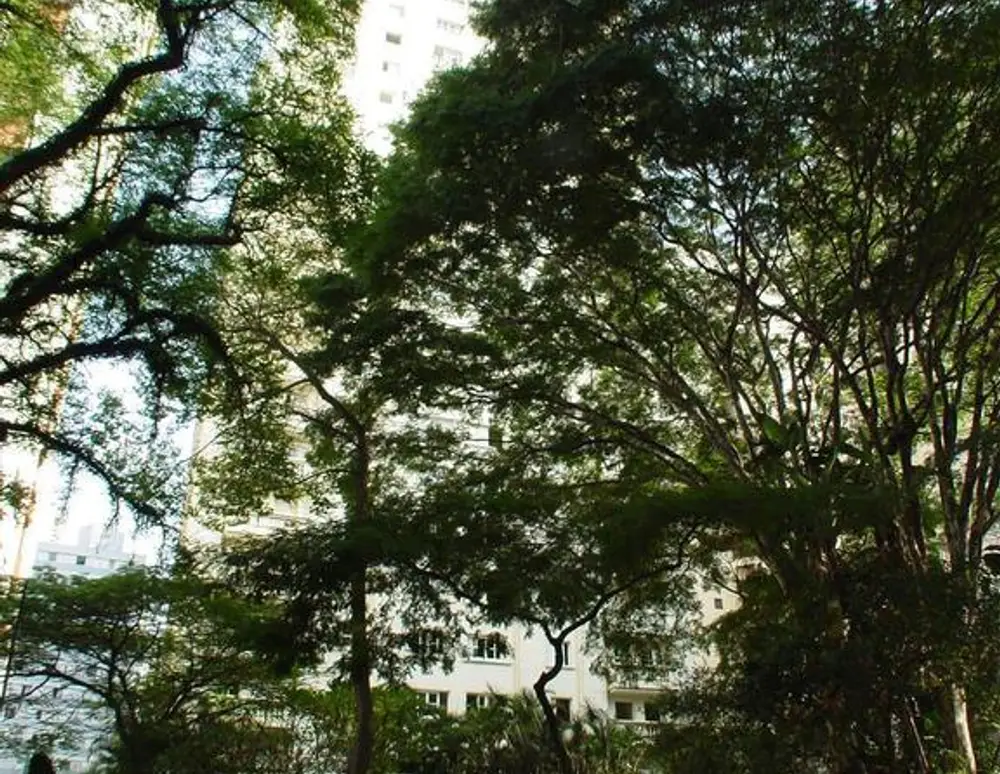 Saint Exupery — foto 2
