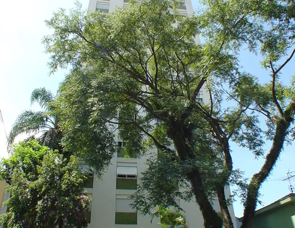 Edificio Lota — foto 2