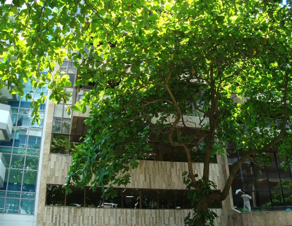 Edificio Palace Leblon