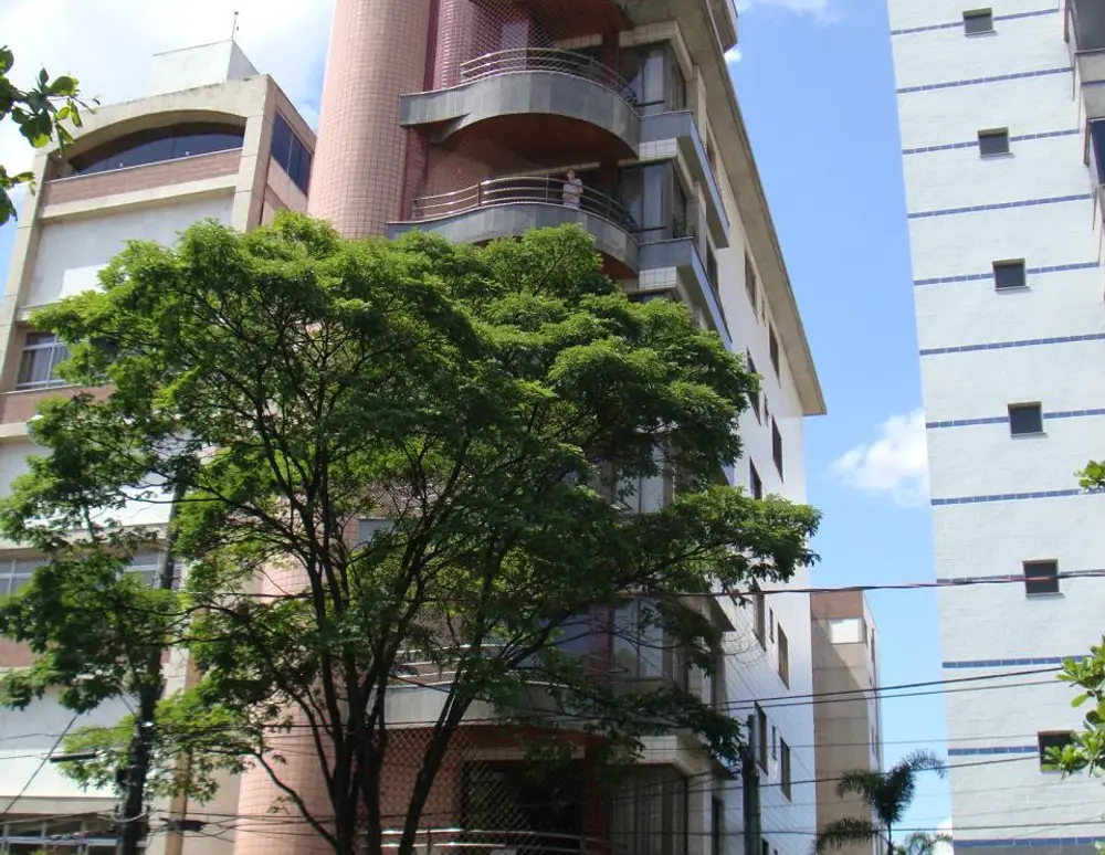 Gutierrez — foto 2