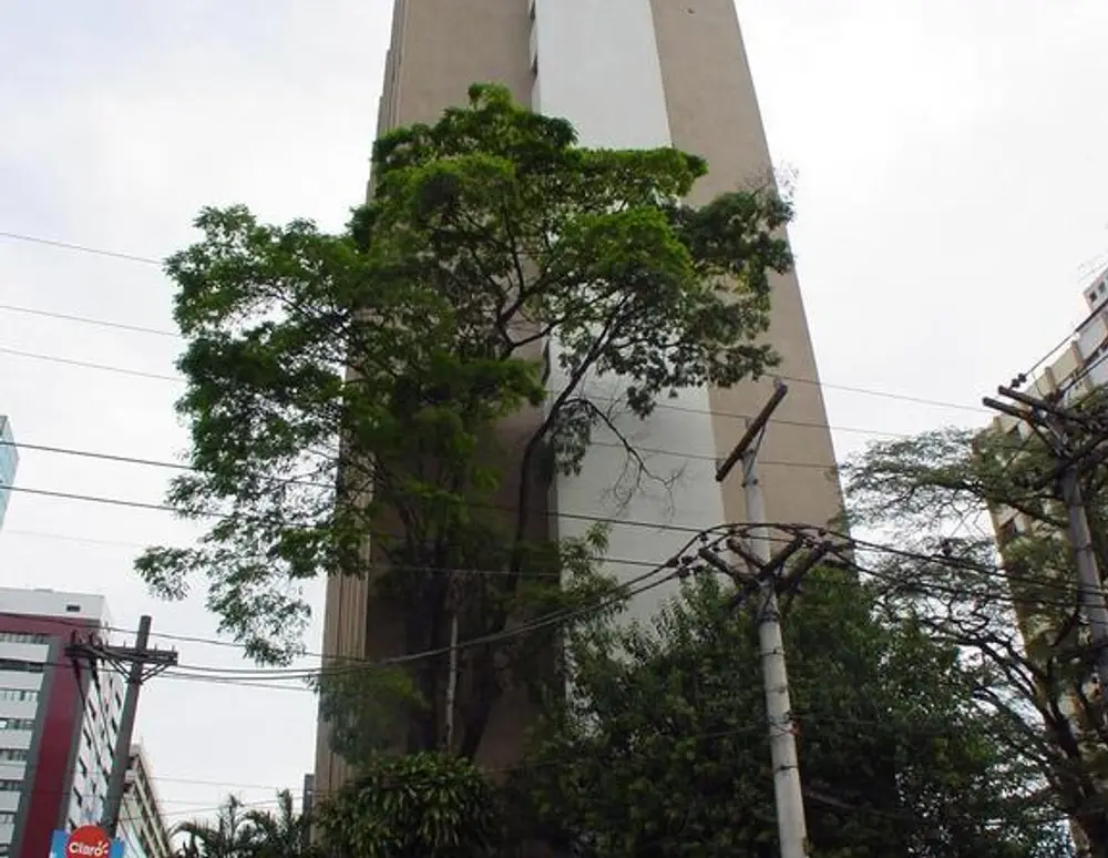 Edificio Marques de Monte Alegre
