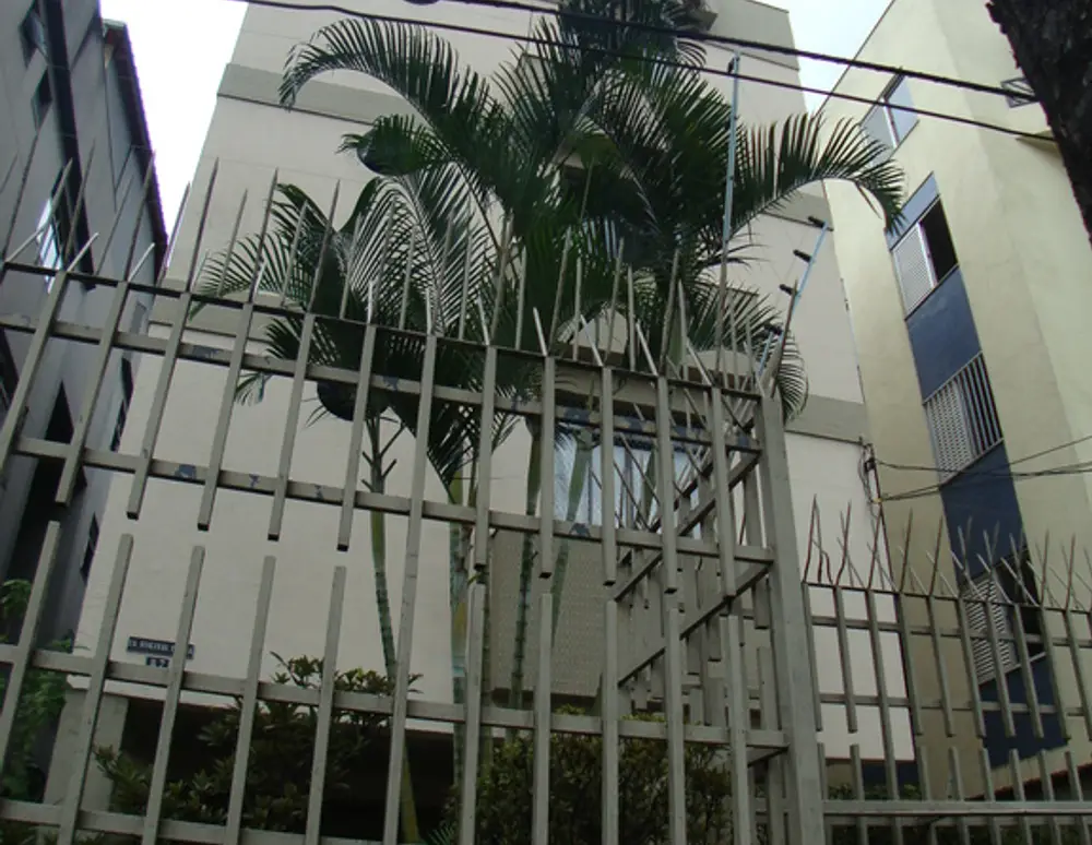 Deolinda S. Hora