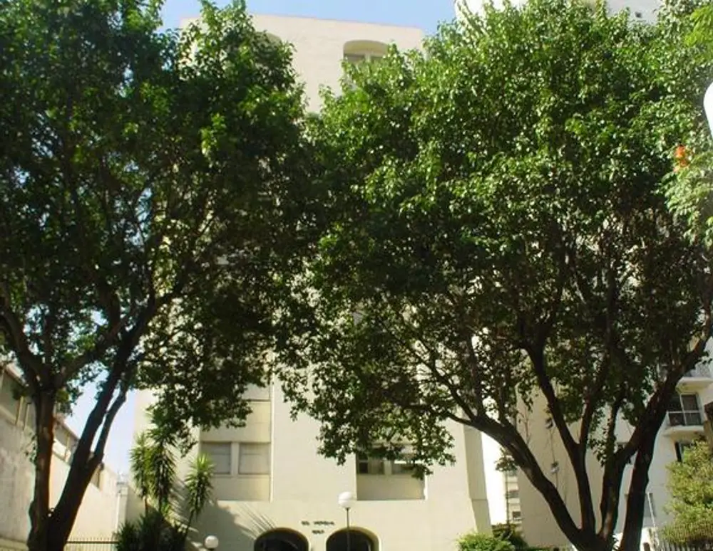 Edificio Verona — foto 2
