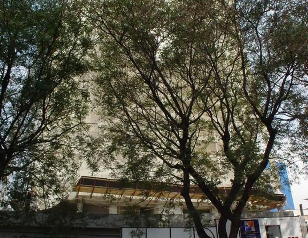 Edificio Mariana — foto 2