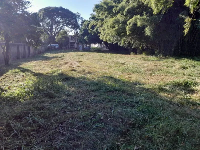 CCP 55 Terreno - Dallasanta Avulsos — foto 4