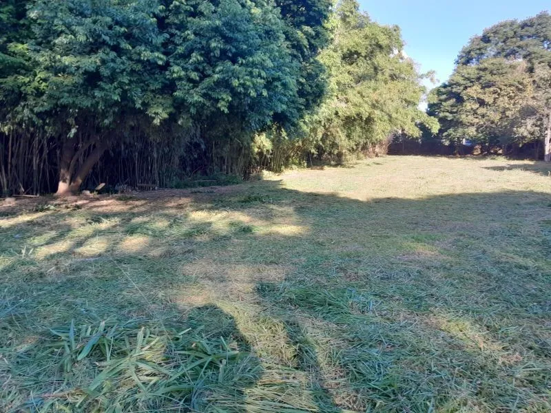 CCP 55 Terreno - Dallasanta Avulsos — foto 5