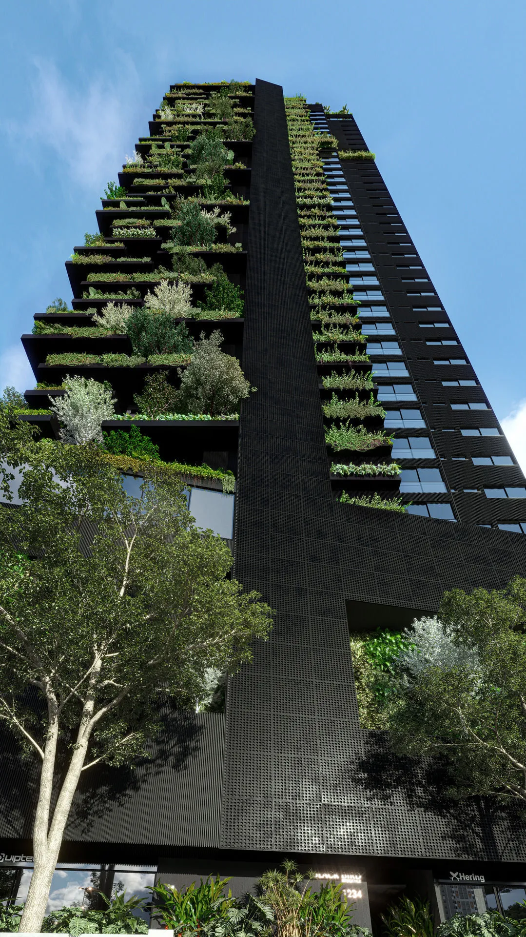 Black Bird - KMK Empreendimentos — foto 2