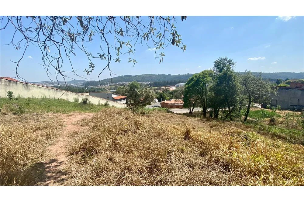 IRYROM 708 Lote 690591011-41 - REMAX Máxima Exclusividades — foto 3