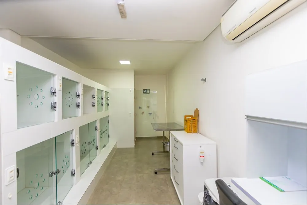 BP 1582 Prédio 601361003-144 - REMAX Trio Exclusividades — foto 3