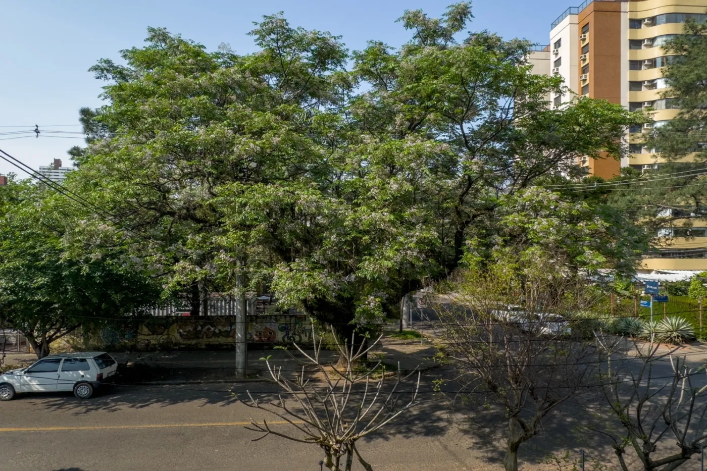 BVPDP 374 Casa 40449 - Morare Exclusividades — foto 3