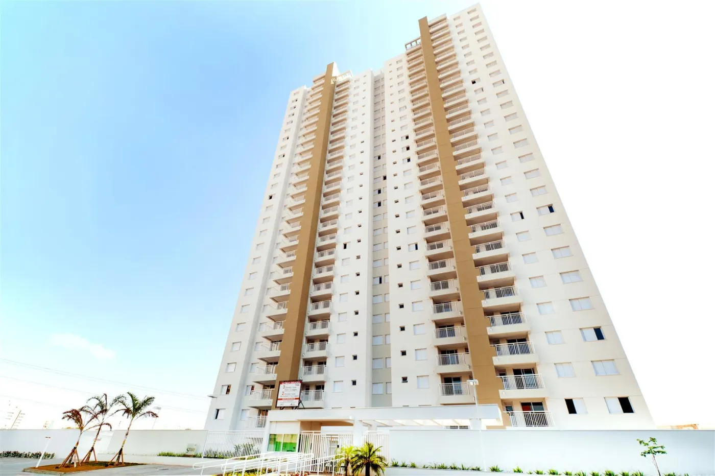 Stare - Lorenzini