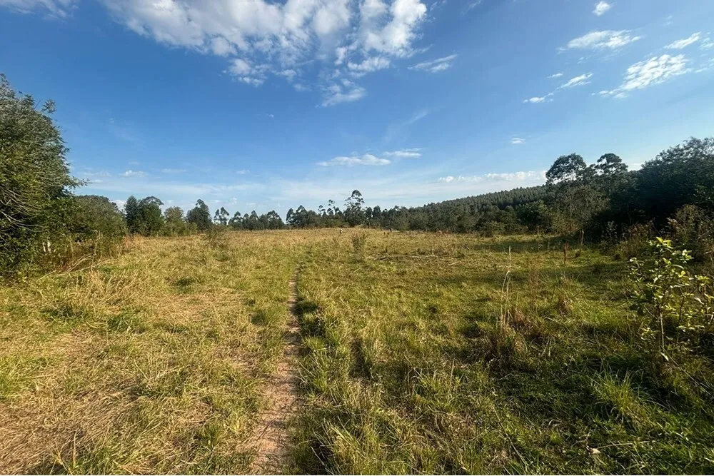 CDB 2500 610371015-14 - REMAX Rocket Exclusividades — foto 2