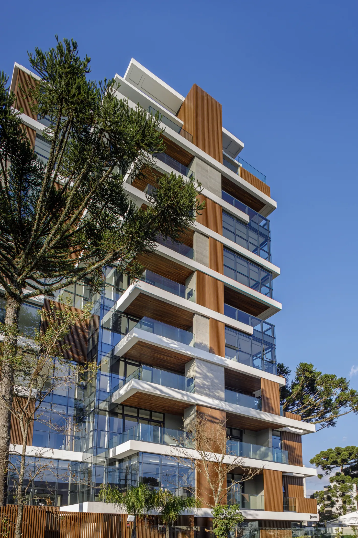 Palazzo Saldanha - Pride — foto 2