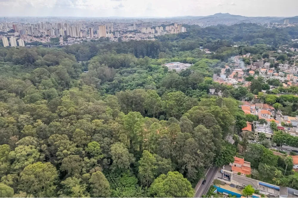 TTJPN 120 Apto 602291006-21 - REMAX B12 Exclusividades — foto 2