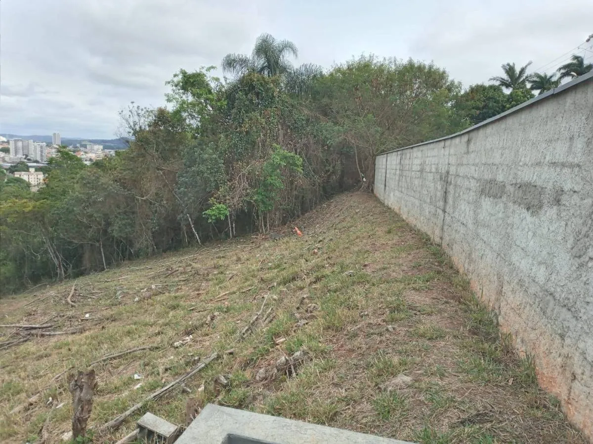 JSNDTDTP 0 Lote LO0001 - Otti Xp Imobiliária Exclusividades — foto 5
