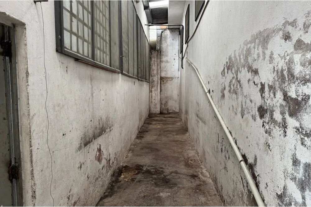 JVDVL 294 Pavilhão 601481005-176 - REMAX Comunità Exclusividades — foto 3