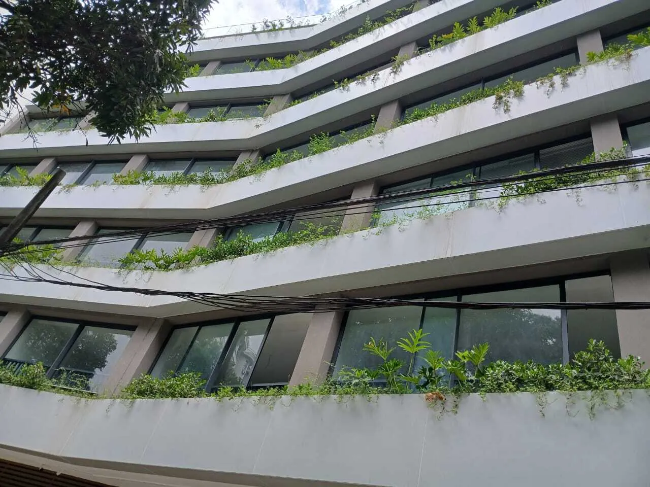 Gloria del'art Coliving - Valente — foto 3