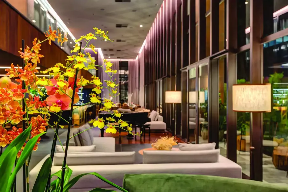 Qoya Hotel São Paulo - GIP Invest — foto 4